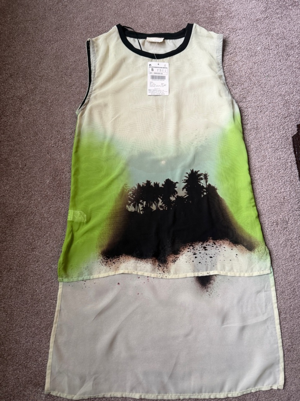 Zara Black-Trim Sheer Cream Sleeveless Top